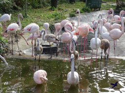 Tiergarten Schönbrunn am 20.10.2025